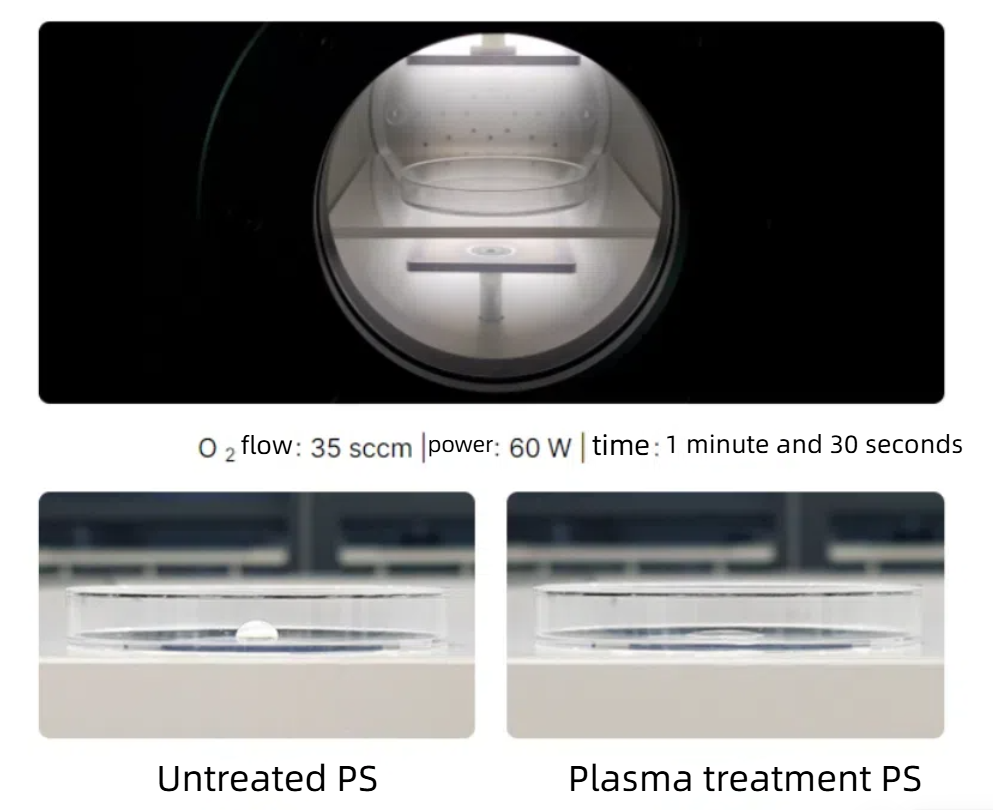 Plasma treatment of polystyrene (PS) culture dishes enhances cell adhesion