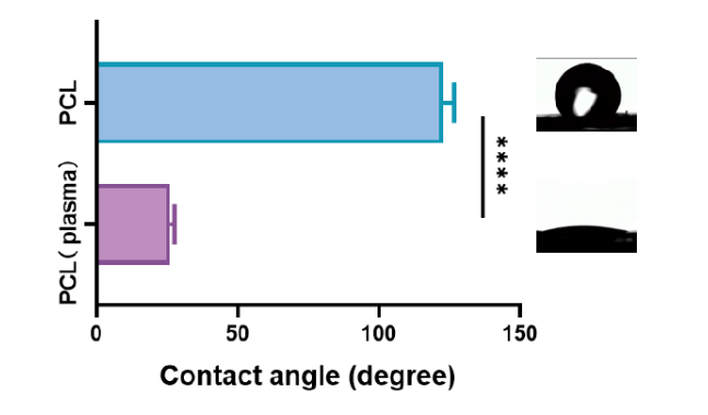 Plasma treatment of electrospun PCL thin film