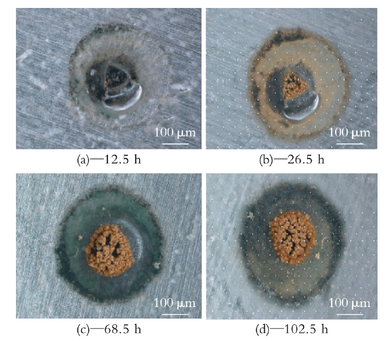 Plasma treatment improves the bonding strength of water-based coatings