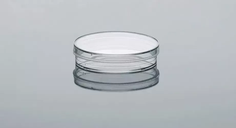 Plasma surface treatment of petri dishes