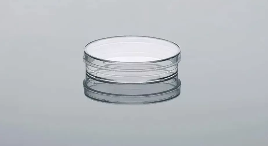 Plasma surface treatment of petri dishes