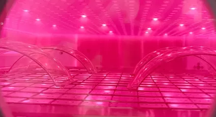 What properties can be significantly improved by plasma treatment of surfaces