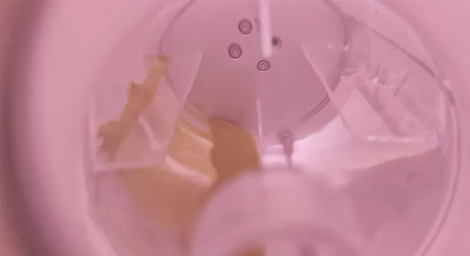 Low temperature plasma treatment technology for modified powders and powders