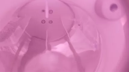 Rotary drum plasma cleaning for powder