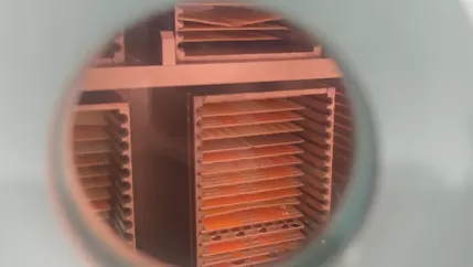 Microwave plasma cleaning machine