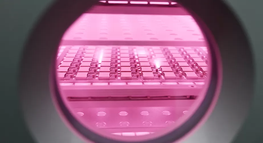 Plasma treatment technology for gas sensitive materials