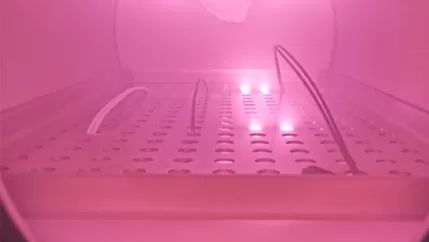 Surface Plasma Cleaning with NE-PE05F