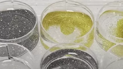 Diamond Powder Plasma Modification