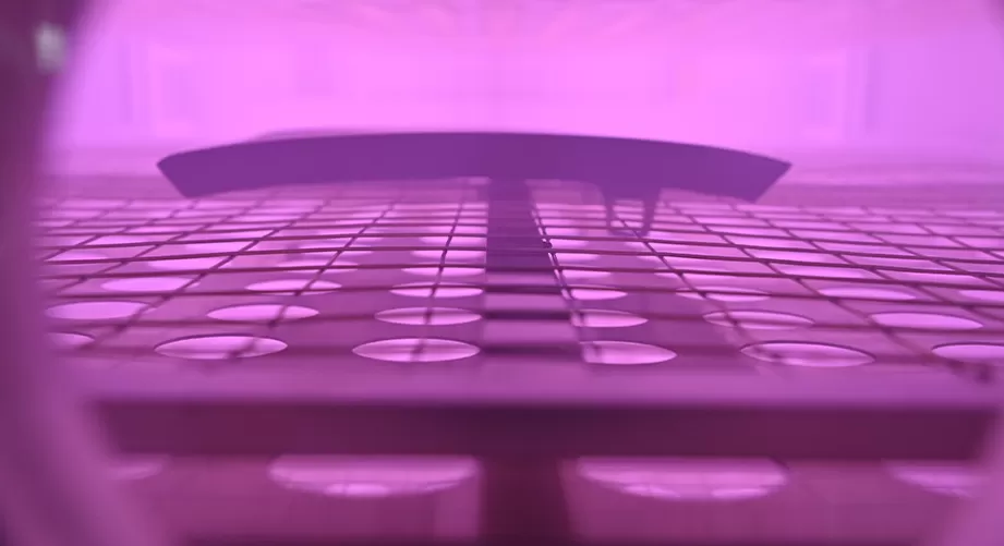 The principle of plasma assisted current body printing process