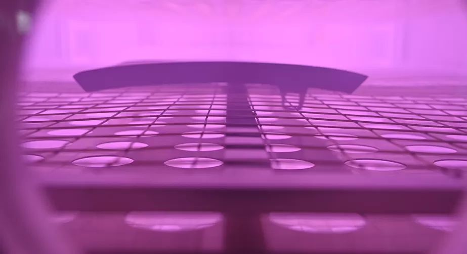 The principle of plasma assisted current body printing process The principle of plasma assisted current body printing process