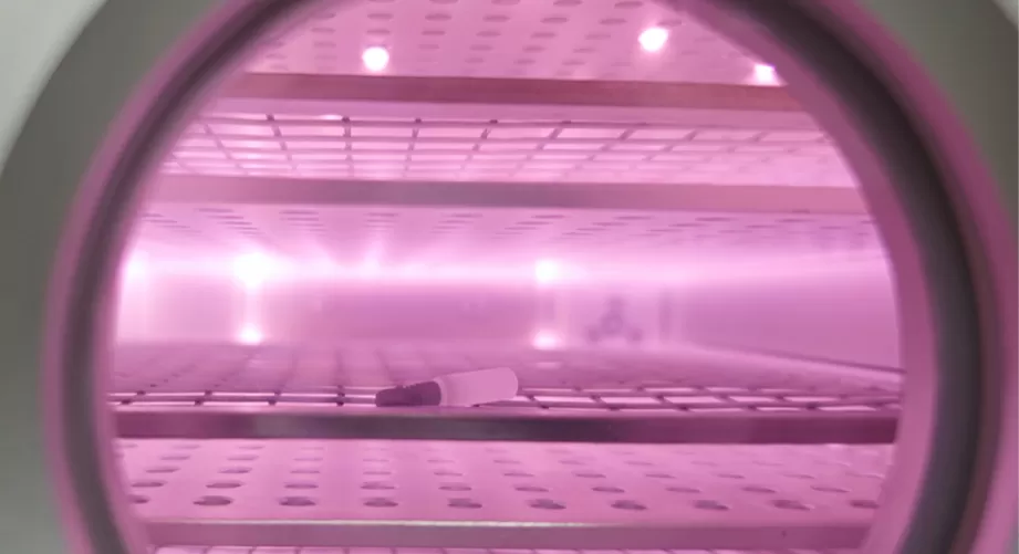 Plasma induced graft polymerization