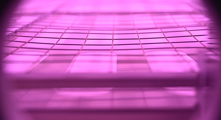 Graphene plasma treatment improves dispersion performance