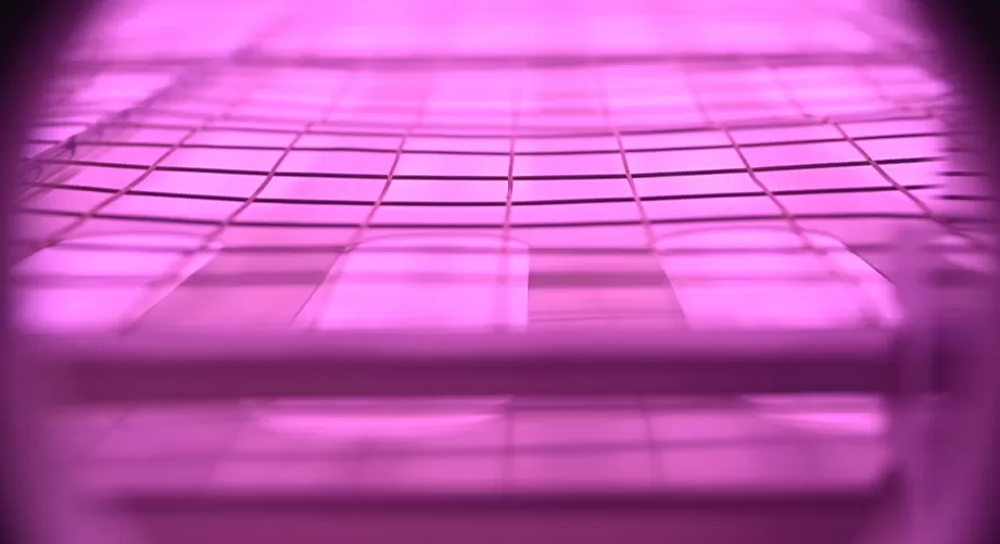 Graphene plasma treatment improves dispersion performance