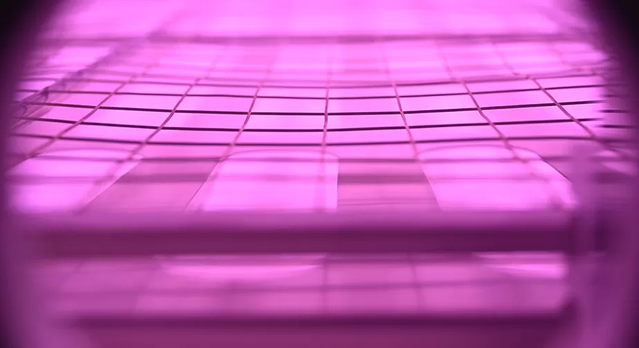 Graphene plasma treatment improves dispersion performance