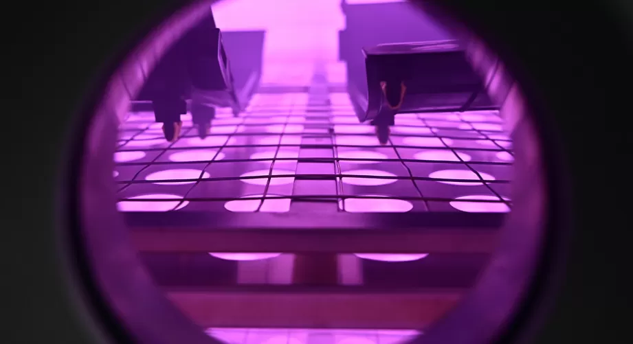 Mechanism of plasma surface modification of PTFE fibers