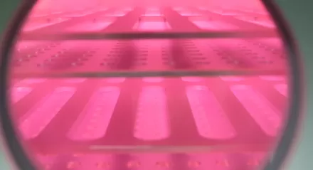 EPTFE membrane plasma treatment improves adhesion