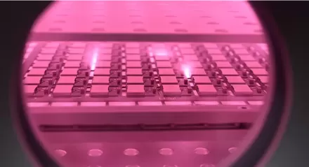 Desktop plasma cleaners are revolutionizing R&D labs