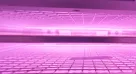 Enhancing Hydrophilic Performance of PE Film by Low-temperature Plasma Treatment