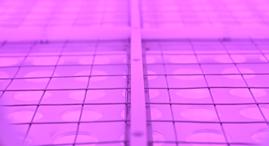 Application of plasma cleaning in fiber optic metallization coating process