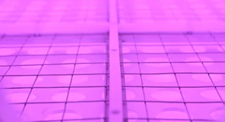 Application of plasma cleaning in fiber optic metallization coating process
