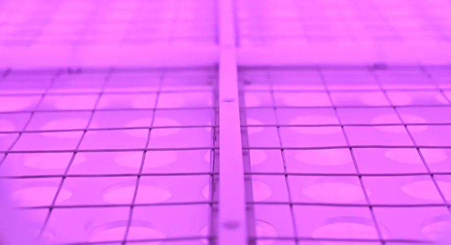Application of plasma cleaning in fiber optic metallization coating process