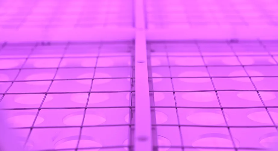 Application of plasma cleaning in fiber optic metallization coating process