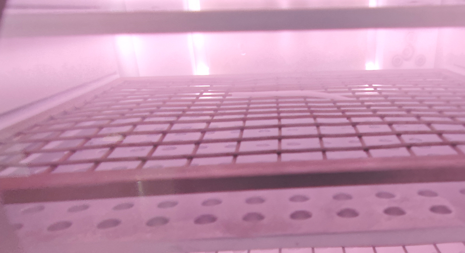 Plasma modification of MOF materials