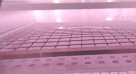 Plasma modification of MOF materials