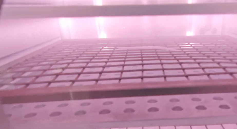 Plasma modification of MOF materials