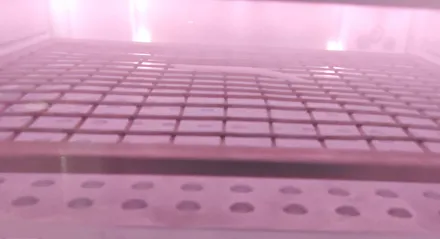 Plasma Treatment of Pebax Medical Catheters to Improve Hydrophilic Adhesion Performance
