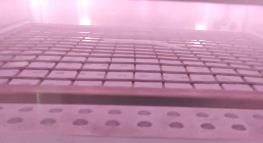 Plasma Treatment of Pebax Medical Catheters to Improve Hydrophilic Adhesion Performance