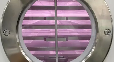 Plasma modification method